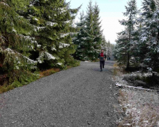 Beh-na-Lesny-2019-15