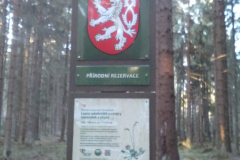 Kamzik2019-brezen-06