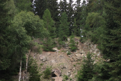 kamzik2019-08