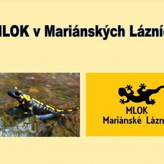 MLOK V Mariánských Lázních