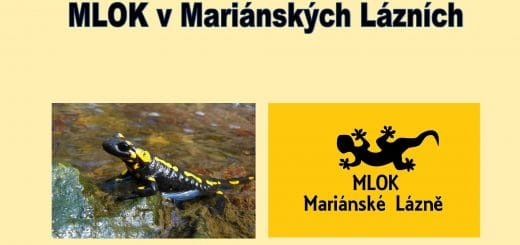 MLOK V Mariánských Lázních