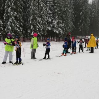 Pohár v běžeckém lyžování