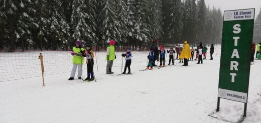 Pohár v běžeckém lyžování