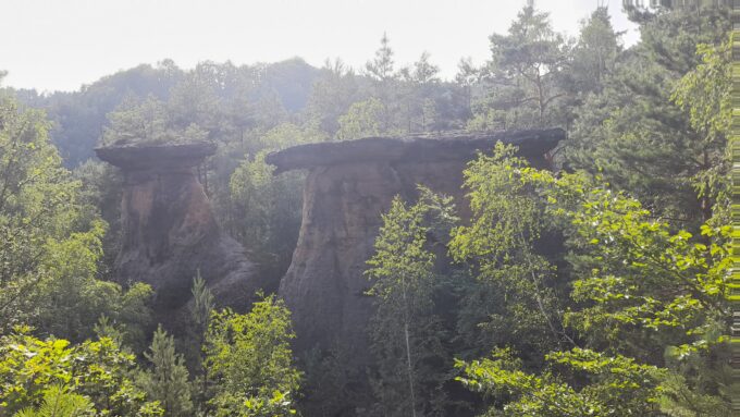 Pokličky proti slunci